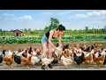 Use Truck Buy Many Chickens From Chicken Farm To Sell To Villagers | Farm Farm TV