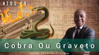Pastor Valternan Henrique| Tema: COBRA OU GRAVETO| Pregação Atos 28