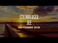 Steinberger See ✌️ (Silver - Rob Simonsen)