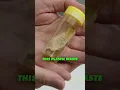 The Mould That Can Eat Plastic