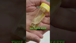 The Mould That Can Eat Plastic