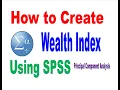 How to create Wealt Index Using SPSS Amharic Lecture