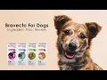 Bravecto For Dogs Ingredient - Pros