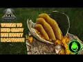 Ark FJORDUR - How To Get HONEY Without Giant Bee Hives Where To Find Them