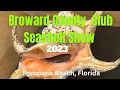 Annual Broward County Club Shell Show - Seashells