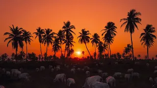 tribalismo mogador original mix 