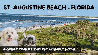 PET FRIENDLY Hotel St Augustine Beach House Review - Pet Friendly Beaches Florida Dogs at the End