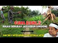 Download Lagu KACAU..‼️SAKING LAMANYA NGGAK DINORMALISASI || IRIGASI INI BERUBAH JADI KEBUN SINGKONG