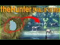 I FIXED MY RED DEER GRIND Dont Make The Same Mistake I Did Call of the wild