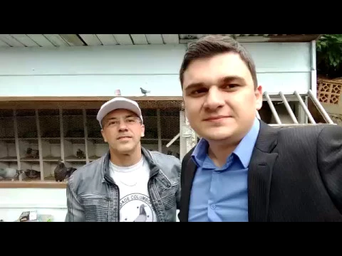 Na era da tecnologia, tem Pombo Correio trabalhando bastante