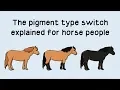 The Pigment Type Switch explained for horse people