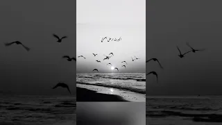 بعد ما كنت البداية بدون موسيقى 