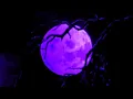 Download Lagu chase atlantic – night calls (slowed + reverb)