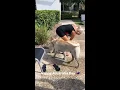 ABBY DOWSE abbydowse January 26 2020