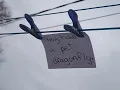 Dirty Paws (by Of Monsters and Men) - Lyric Video