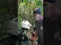 Saat masuk hutan ada suara hewan paling menakutkan tiba-tiba datang bikin waspada