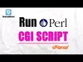 Run Perl CGI Script on server with cPanel cgi-bin