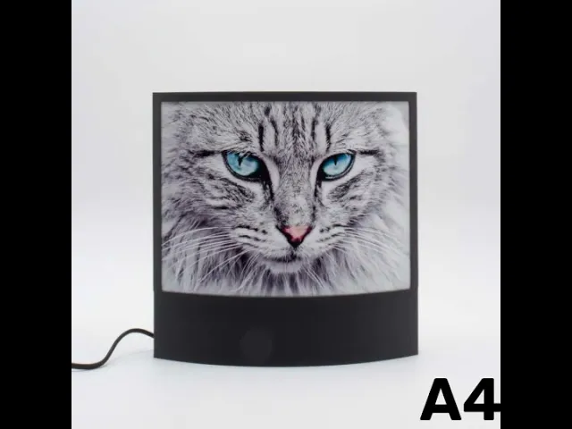 A4 PICTURES LAMP HOLDER - Follow us: https://linktr.ee/catalpine video thumbnail