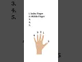 Download Lagu Fingers Name #english #engnames #vocabulary #engtest #grammar #tenses #reel #shorts #trending #viral