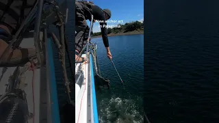 What our boat ‘wears’ in Patagonia #sailing  #sailingadventure