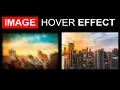 Image Hover Liquid Displacement Animation Effect Using HTML CSS and SVG