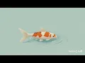 Download Lagu Koi - tonboとんぼ (Royalty Free Background Music)