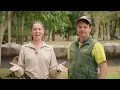 We love our quokkas! | Australia Zoo Life