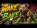 Wake Bake Flipping Through Pedigrees APBT Bloodlines Breeding Kennel Talk