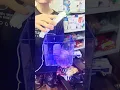 Bể dưỡng cá xịn xò của Bách Khoa aqua em đây ạ 😍😍😍 Xin mời khách yêu gần xa thẩm 🤟