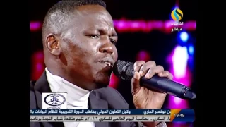 محمد الحافظ حنين 