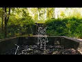 Cavetown - a kind thing to do feat vic fuentes