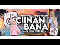 Lagu CIINAN BANA DJ FAUZANA MINANG VIRAL SONG MAMAN FVNDY 2025