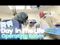 Day in the Life Pediatric Dental Resident VLOG