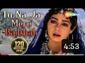 Download Lagu Tu Na ja mere Badshah