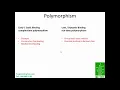 Polymorphism Part3