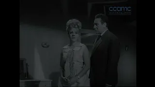 الإعلان الرسمي لفيلم الليالي الطويلة The Long Nights Official Trailer 