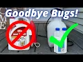 How to get rid of ants spiders and ladybugs in your home