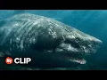 Meg 2 The Trench Exclusive Movie Clip - Call For Help 2023