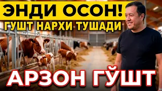 ЭНДИ ГУШТ НАРХИ ТУШИШ КЕРАК  ФЕРМА КУРИШ ОССОН БУЛДИ