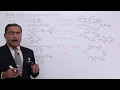 Regular Expression and Transition System Part 2