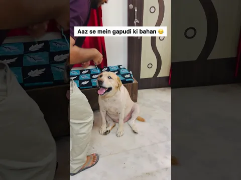 Happy Rakshabandhan 🌼 | SourShy