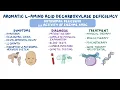 Download Lagu Aromatic L-Amino Acid Decarboxylase (AADC) Deficiency: Causes, Symptoms, and Treatment