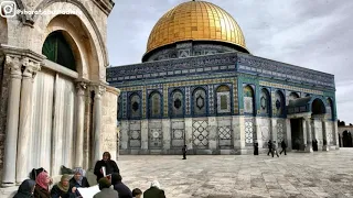 نشيد قبلة الجمال  سأروي لطفلي حديث السماء حالات واتس أب دندنها