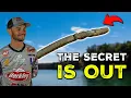 Jordan Lee s BEST KEPT Neko Rig Fishing Secrets Finesse Pressured Bass From Under Boat Docks