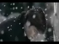 Clana video Rascal Flatts - What Hurts The Most