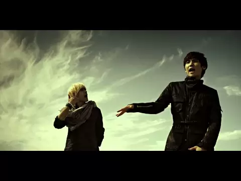 Like Birds