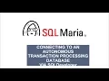 Connecting to an Autonomous Transaction Processing database via SQLDeveloper