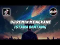 Download Lagu DJ REMIX MENGKANE ISTANA BINTANG KONDANGAN X JJ REMIX TERBARU