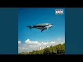 Download Lagu Pięknie płyniesz