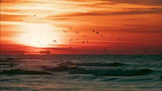 london grammar hey now mzala wa afrika afro covermix